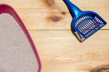 Kedi kumu kutusunu temizle