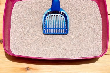 Kedi kumu kutusunu temizle