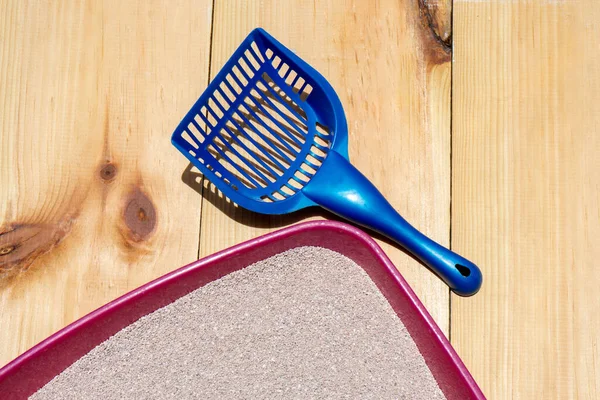 Kedi kumu kutusunu temizle