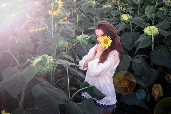 Girl Holding Sunflower Smiling — Stock Photo, Image