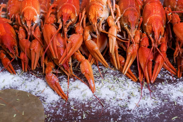 Cangrejos de río cocidos, camarones fritos y cocidos, languideces fritas, vieiras y mejillones con queso, pescado salado, atún bistec en platos blancos sobre una mesa negra con vasos de cerveza —  Fotos de Stock