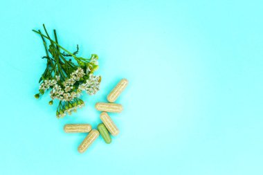 Kağıt torba bir eczaneye bir yeşil eczane logolu geri dönüştürülmüş. Boş kopya alanı Editörün içerik için..