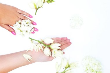 Yaratıcı güzellikteki fotoğrafçı kızlar, renkli gölgelerle zıt pembe bir arka planda masada oturuyorlar.