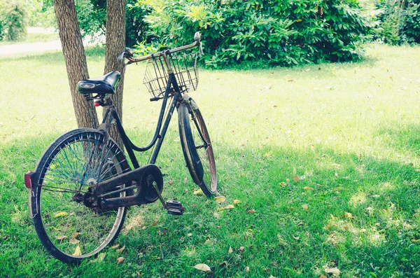 Vintage Bicycle Waiting Tree Summer Nature Background Copy Space — Stock Photo, Image