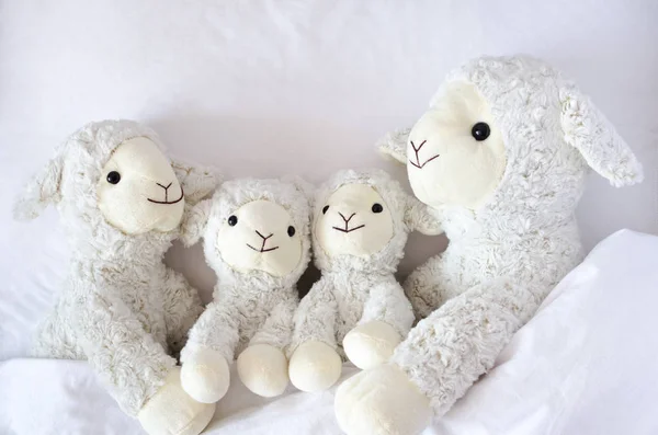 Ovelhas Família Brinquedos Recheados Animais Deitados Cama Família União Proteção — Fotografia de Stock