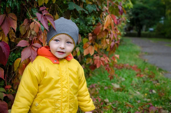 Mosolygós Kisfiú Sárga Kabátot Séta Gyönyörű Őszi Parkban Szabadban Szórakozik — Stock Fotó