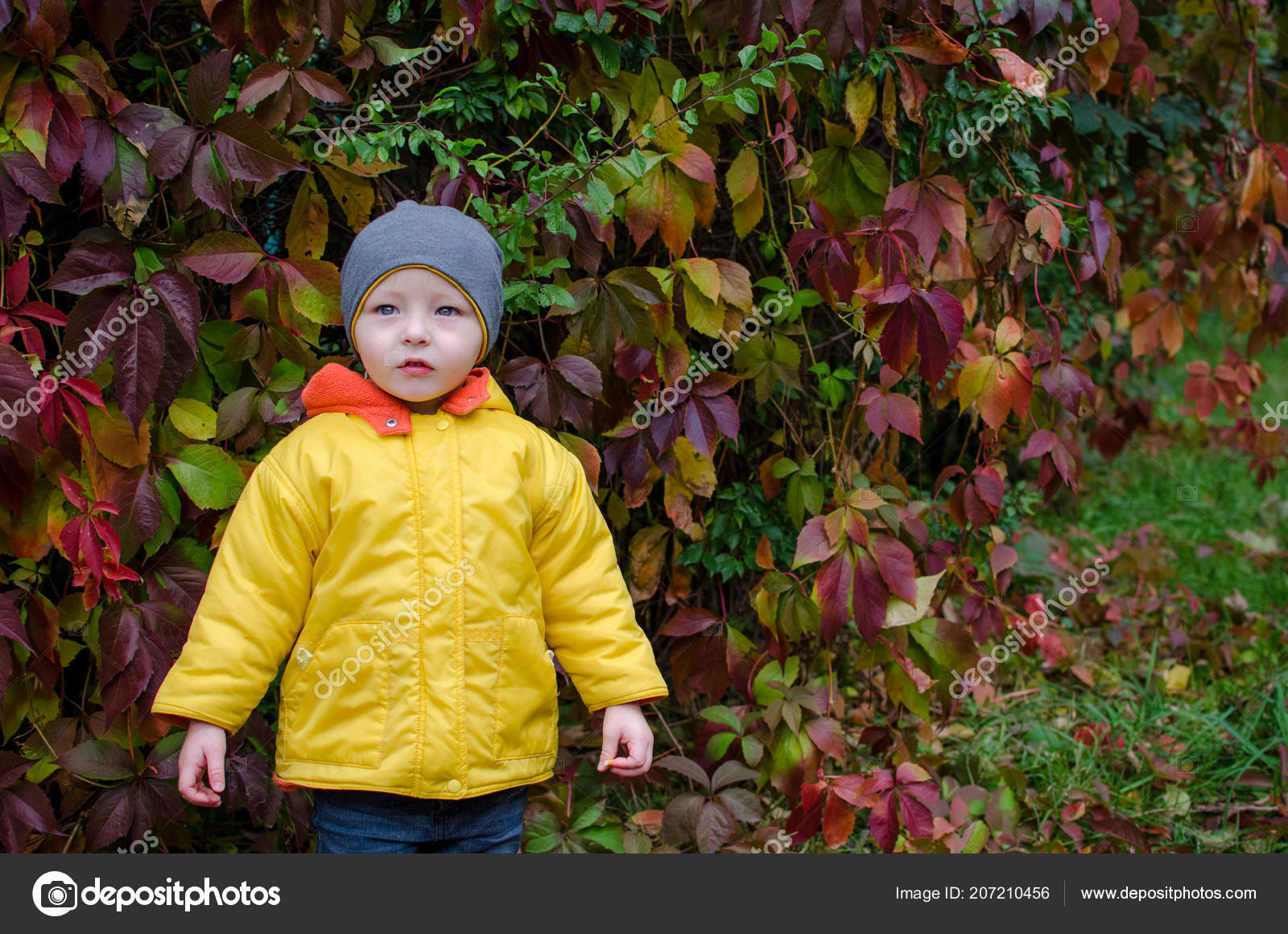 boy in yellow coat from it