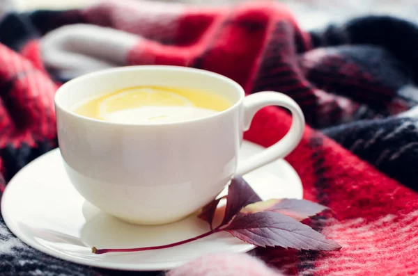 Cup Tea Lemon Warm Woolen Blanket Window Sill Hot Drink — Stock Photo, Image