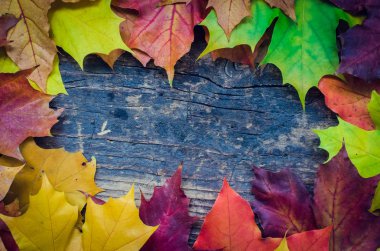 Renkli sonbahar akçaağaç ile sonbahar arka plan metin için yer rustik ahşap masada bırakır. Şükran günü sonbahar tatil arka plan kavramı. Sonbahar yaprakları ile çerçeve. Uzay kopyalayın. Üstten Görünüm.