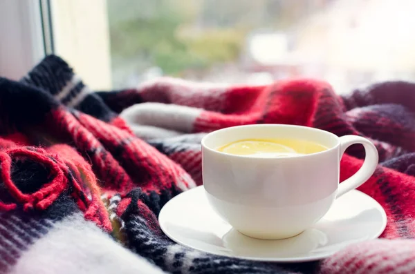 Cup Tea Lemon Warm Woolen Blanket Window Sill Hot Drink — Stock Photo, Image