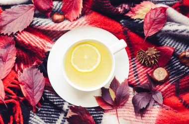 Bir fincan limonlu çay ve kırmızı yün battaniye. Yağmurlu günler için sıcak içecek. Hygge konsepti, sonbahar havası. Evde sıcak bir sonbahar sabahı. Sıcak ve rahat bir sonbahar tatili. Soğuk havada dinleniyor. Üst görünüm.