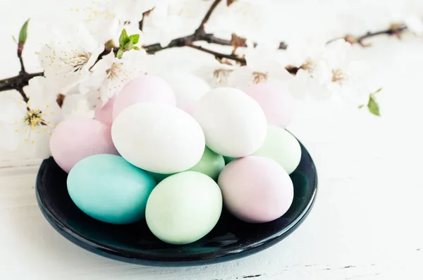 Easter chocolate eggs in pastel colors with branch of spring cherry blossom on white wooden background. Happy Easter Holidays.