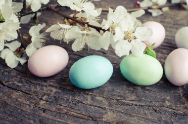 Çikolata Paskalya yumurtaları ile bahar kiraz çiçeği metin için boş yer eski rustik ahşap zemin üzerine pastel renklerde. Mutlu Paskalya tatili. Kopya alanı.