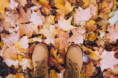 Casual unisex düşen sonbahar yaprakları ile botlar. Sonbahar sonbahar sahne. Bot ve kot sonbahar yaprakları bacaklarda kavramsal görüntü. Yaşam tarzı moda trendy tarzı. Üstten görünüm. Kopya alanı.