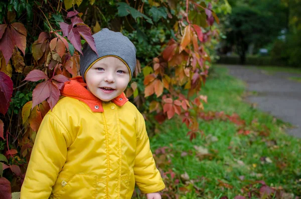 Mosolygós Kisfiú Sárga Kabátot Séta Gyönyörű Őszi Parkban Szabadban Szórakozik — Stock Fotó