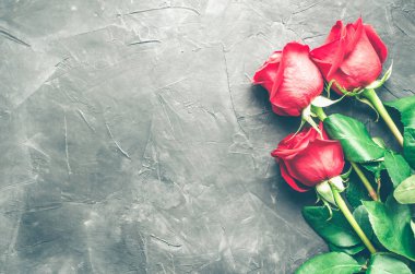 Metin için yer koyu gri beton zemin üzerine kırmızı gül çiçekler. Romantik Sevgililer tatil kavramı. Sevgililer günü tebrik kartı. Uzay kopyalayın. Üstten görünüm.