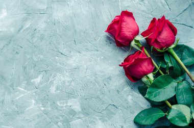 Metin için yer gri beton zemin üzerine kırmızı gül çiçekler. Romantik Sevgililer tatil kavramı. Sevgililer günü tebrik kartı. Uzay kopyalayın. Üstten görünüm.