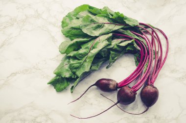 Beton arka planda genç pancarlar