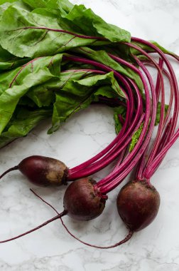 Beton arka planda genç pancarlar