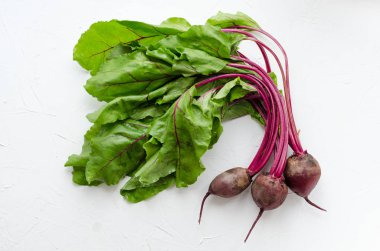 Beton arka planda genç pancarlar