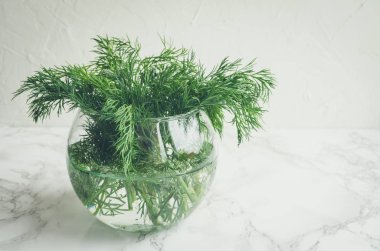 Mermer arka planda taze dereotu