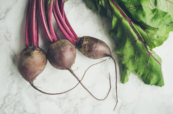 Young beets on concrete background