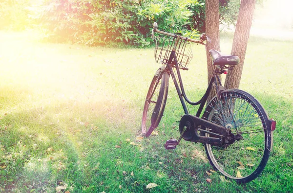 Bicicleta vintage esperando perto da árvore — Fotografia de Stock