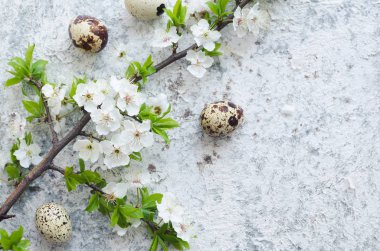 Bahar kiraz çiçeği dalı ile Paskalya yumurtaları
