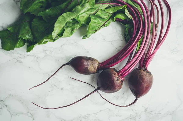 Young beets on concrete background