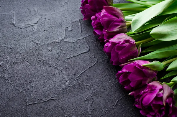 Lale çiçek arka plan