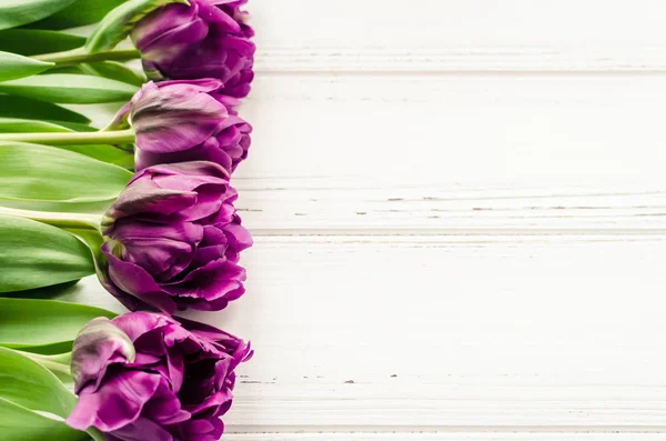 Tulipanes flores fondo — Foto de Stock