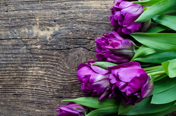 Tulipanes flores fondo — Foto de Stock