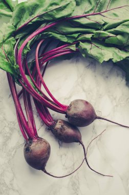 Beton arka planda genç pancarlar