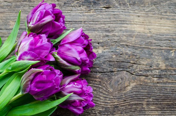 Tulipanes morados sobre fondo de madera — Foto de Stock