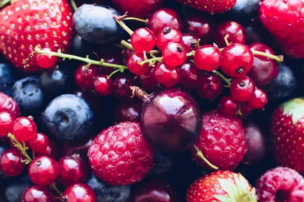 Various summer berries texture background