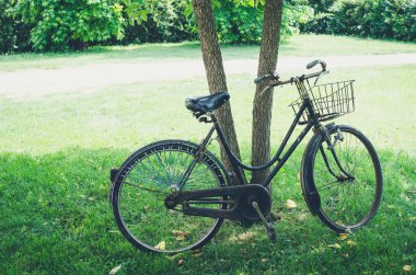 vintage Bisiklet ağacının yanında bekliyor