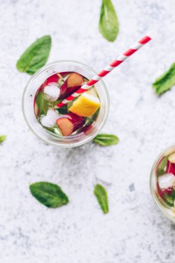 Rubarb, limon ve nane ile yaz ferahlatıcı içecek. Rubarb limonatası. Taze bahar meyveli sürahi detoks suyu. Sağlık hizmeti, fitness, sağlıklı beslenme diyeti konsepti. Üst görünüm.