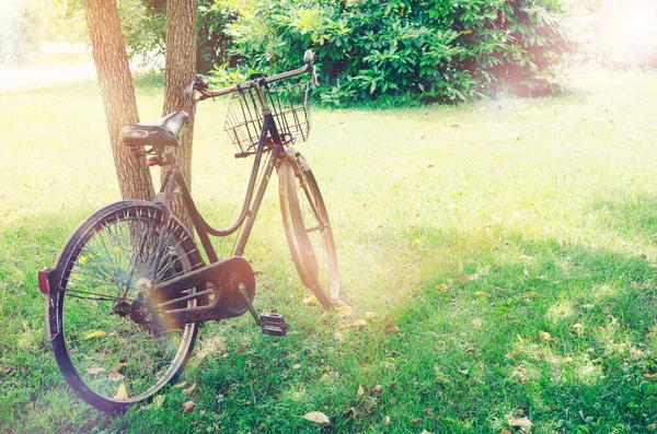 Bicicleta Vintage Esperando Perto Árvore Contra Fundo Natureza Verão Espaço — Fotografia de Stock