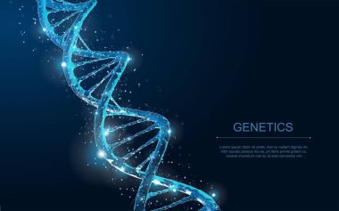 DNA'sı. 3D poligonal tel kafes Dna molekül sarmal spiral mavi soyut.