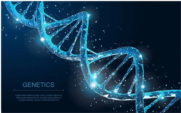 ADN. Resumen 3D poligonal wireframe ADN molécula hélice espiral en azul . — Vector de stock