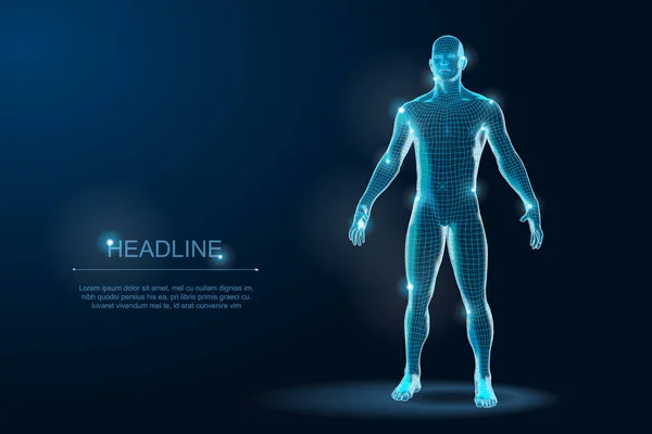 Lidské tělo 3d polygonální Blueprint drátový model. Vektorové ilustrace — Stockový vektor