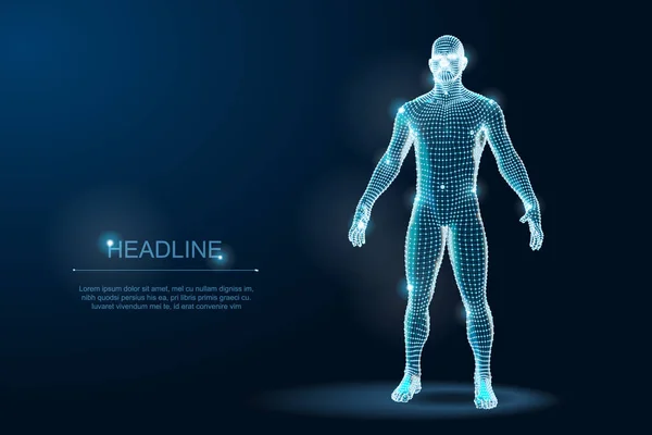 Lidské tělo 3d polygonální Blueprint drátový model. Vektorové ilustrace — Stockový vektor