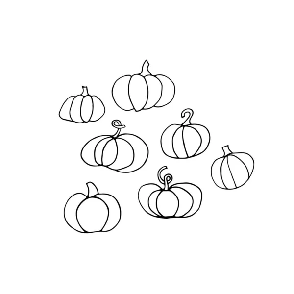 Conjunto Calabazas Doodle Colección Diferentes Calabazas Aisladas Sobre Fondo Blanco — Archivo Imágenes Vectoriales