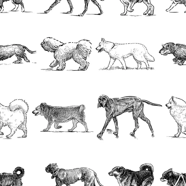 Patrón Inconsútil Los Perros Diferentes Razas — Archivo Imágenes Vectoriales