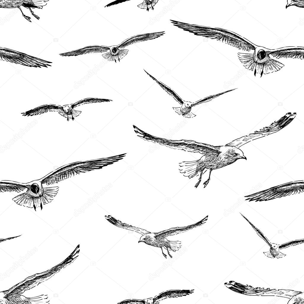 Seamless pattern of the flying gulls sketches