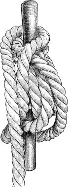 Vektör çizim bir arma halatı