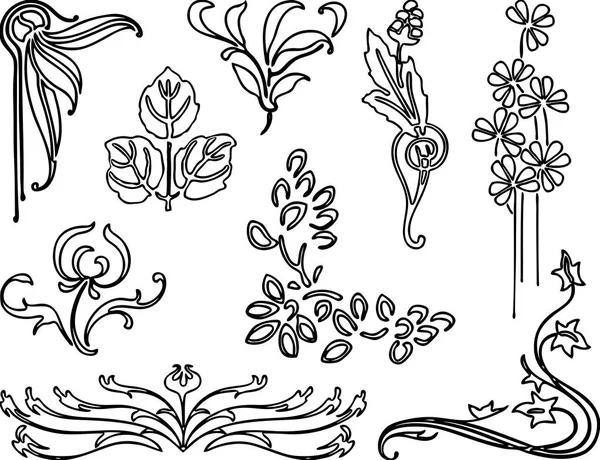 Set Various Floral Elements — Stock Vector