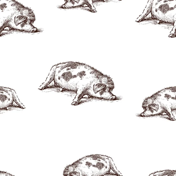 Безшовний Візерунок Лінивої Сплячої Свині — стоковий вектор