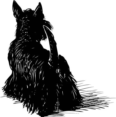 Siyah bir İskoç terrier çizim vektör