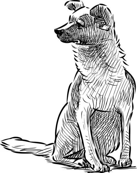 Desenho Mão Cão Sentado — Vetor de Stock